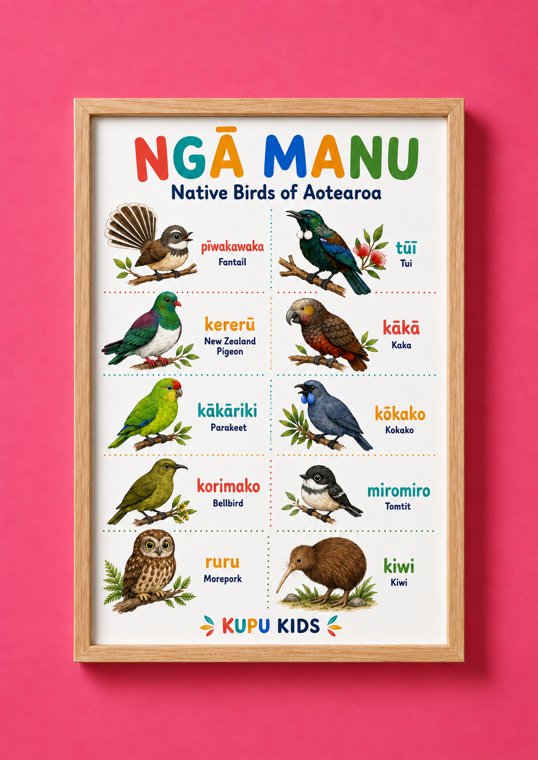 Ngā Manu - Birds Of Aotearoa Poster