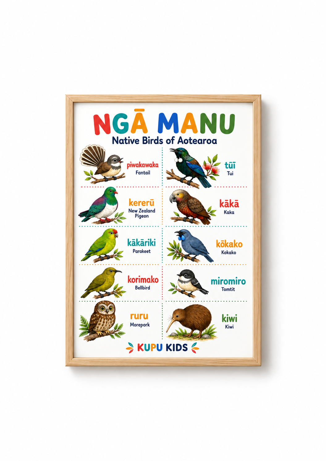 Ngā Manu - Birds Of Aotearoa Poster