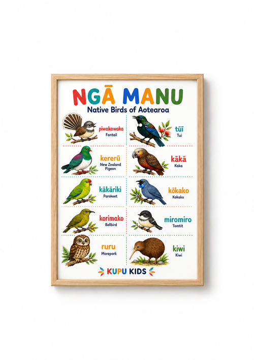 Ngā Manu - Birds Of Aotearoa Poster